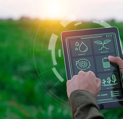 Environmental Studies